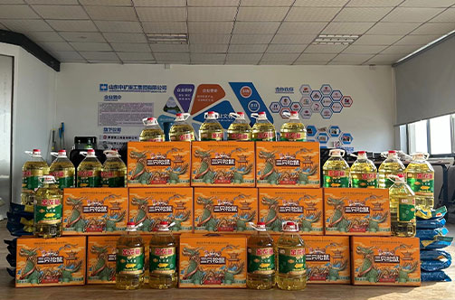 度盛世春节，共鉴美满春节恭祝全体人民节日愉快，万事如意